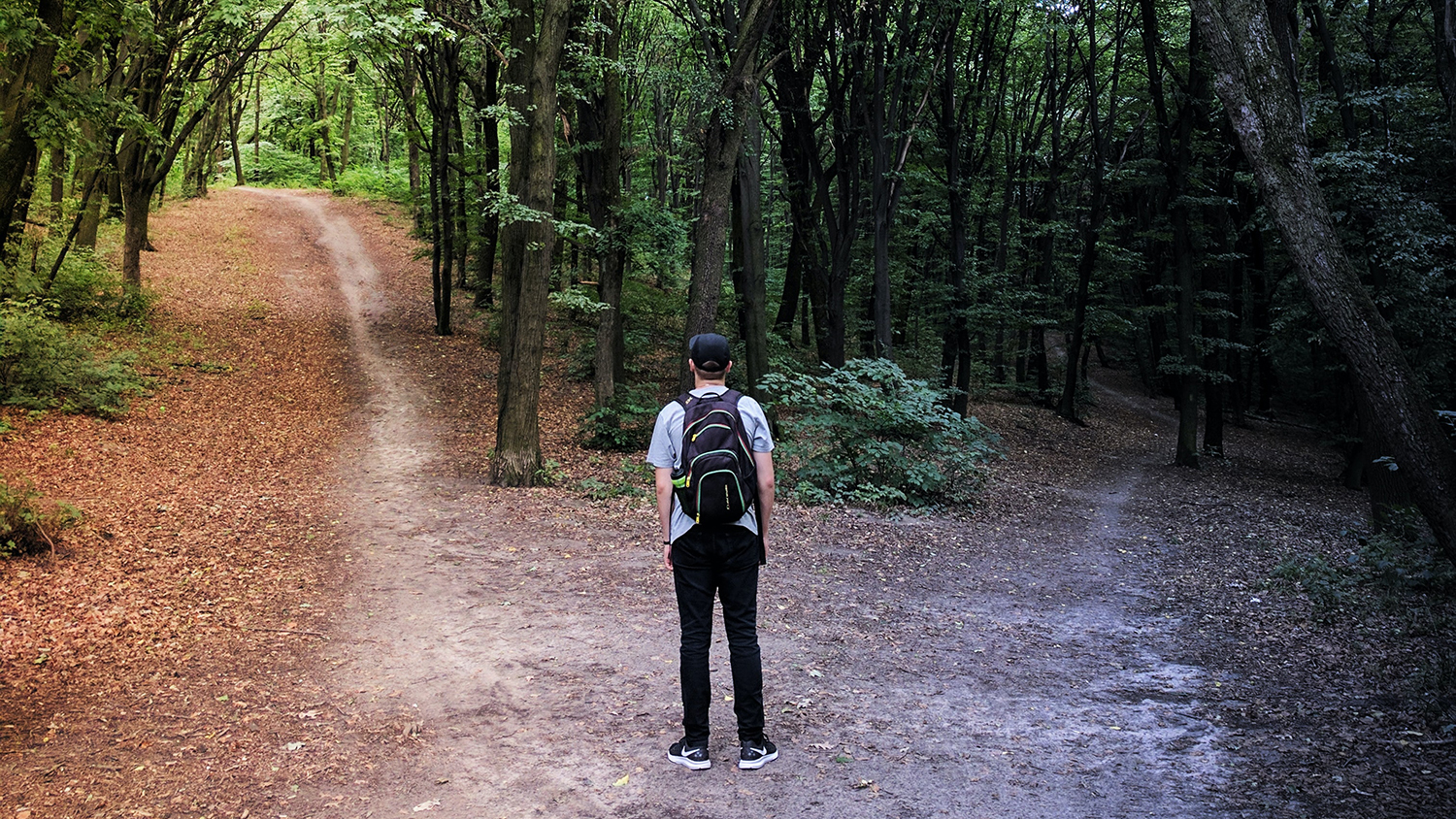 walker choosing a way to go in the woods