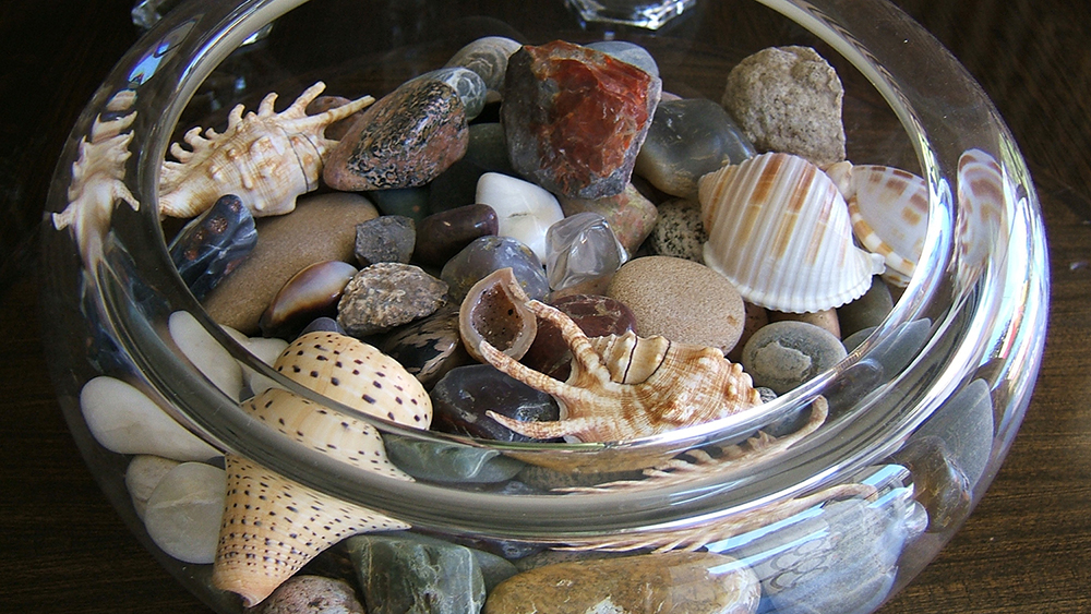 shells and pebbles in a jar